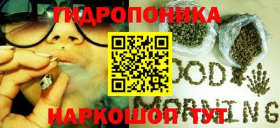 apvp Ставрополь