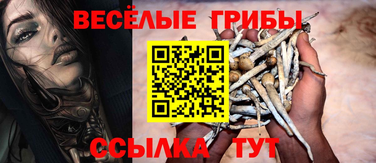 Ноябрьск  Псилоцибиновые грибы Psilocybine cubensis  Вход с VPN 